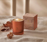 Pumpkin Laurel 6.5oz Boxed Candle