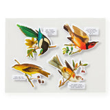 Salty Birds, 1000 pc Puzzle