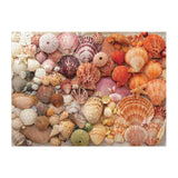 Vibrant Seashells, 1000 Piece Puzzle