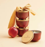 Simmered Cider Candle Tin 6.5oz