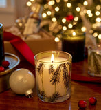 Frasier Fir Pine Needle Poured Candle 6.5 oz